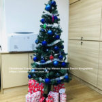 Christmas Tree Mason